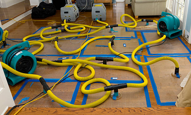 Professional Crawl Space Water Removal technician working in Ross, OH